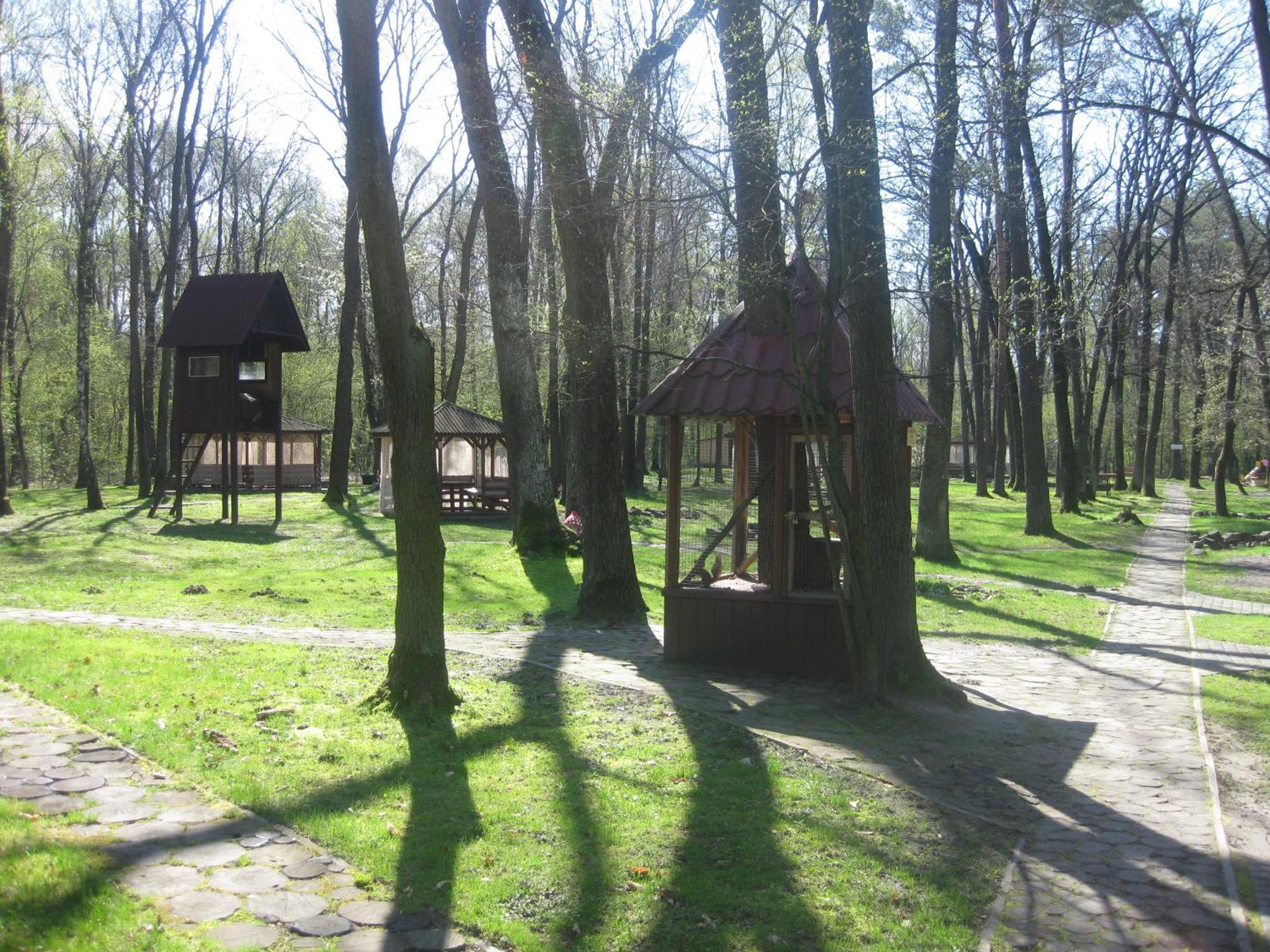 Hotel Complex Zelenyi Gai Kopachuvka Εξωτερικό φωτογραφία