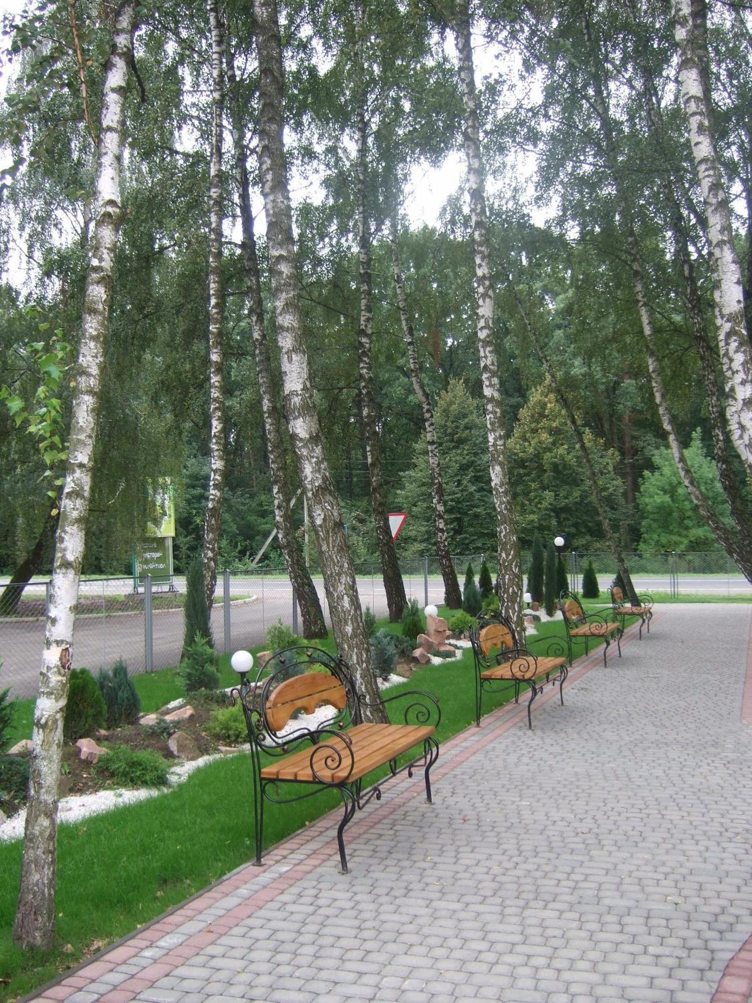 Hotel Complex Zelenyi Gai Kopachuvka Εξωτερικό φωτογραφία